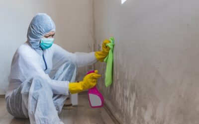 UNDERSTANDING MOLD: CAUSES, PREVENTION, AND HOW NEW AMERICA RESTORATION CAN HELP