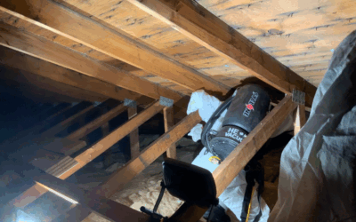 Attic Mold Remediation Tips: Get Your Home Ready to Sell in Maryland